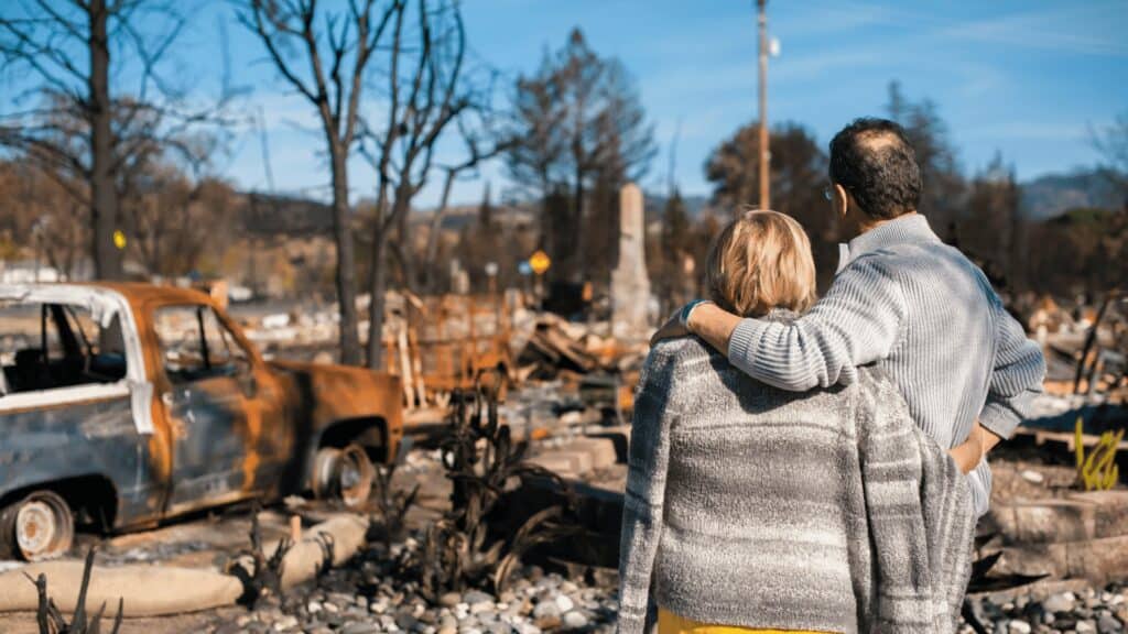 Disaster Demolition